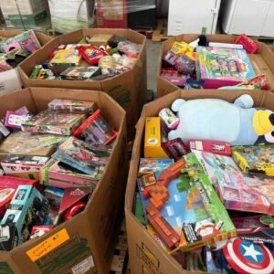 Mixed Toys Liquidation Pallet — 200+ Pieces